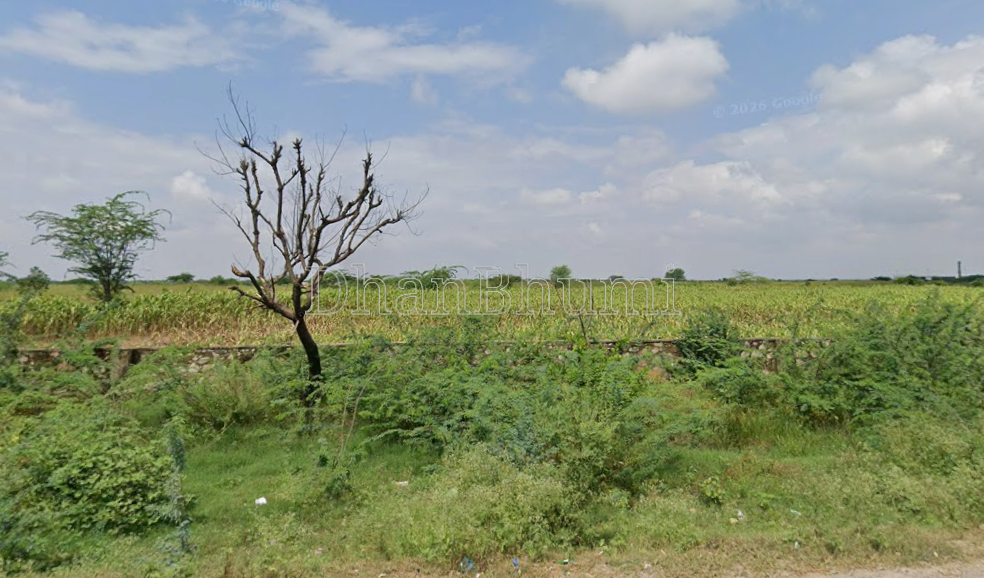 property_images/agricultural_in_deeg_1786703259_6a7eed9b6e022.png