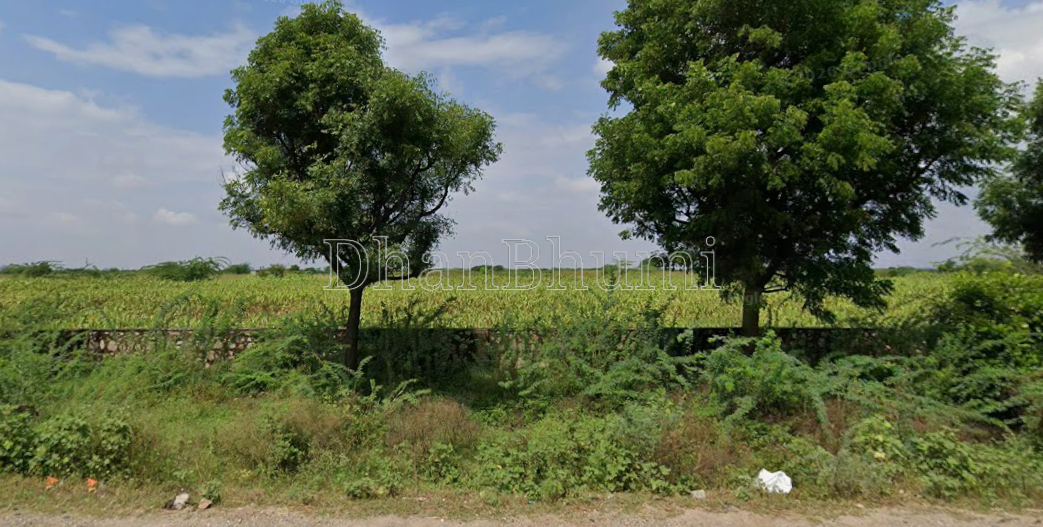 property_images/agricultural_in_deeg_1786703433_6a7eee49dd0b6.png