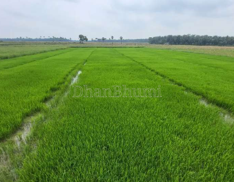 property_images/agricultural_in_dehradun_1785241168_6a689e5055b8d.png