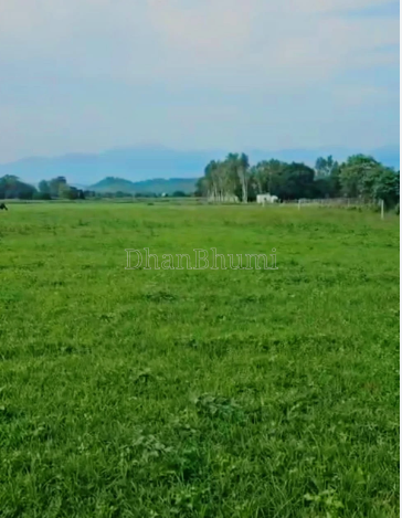 property_images/agricultural_in_dehradun_1787218402_6a86c9e2190d5.png