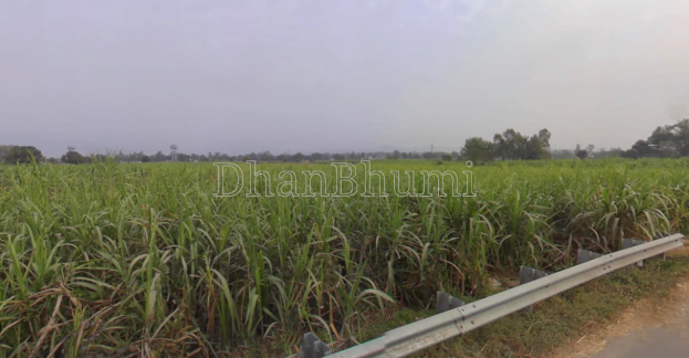 property_images/agricultural_in_dehradun_1787219468_6a86ce0c8f4ce.png