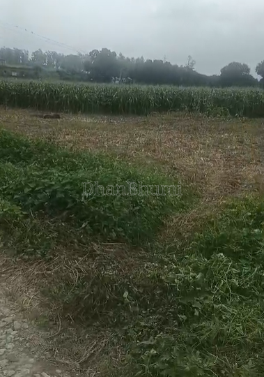 property_images/agricultural_in_dehradun_1788350670_6a9810ce78599.png