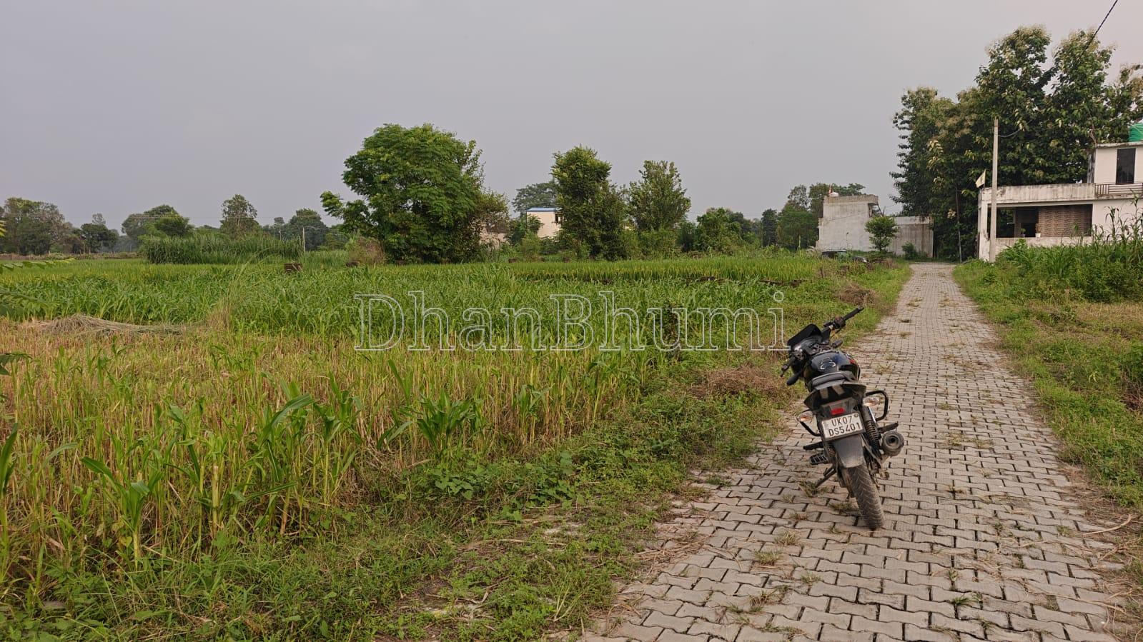 property_images/agricultural_in_dehradun_1789643390_6aabca7e87d35.jpeg
