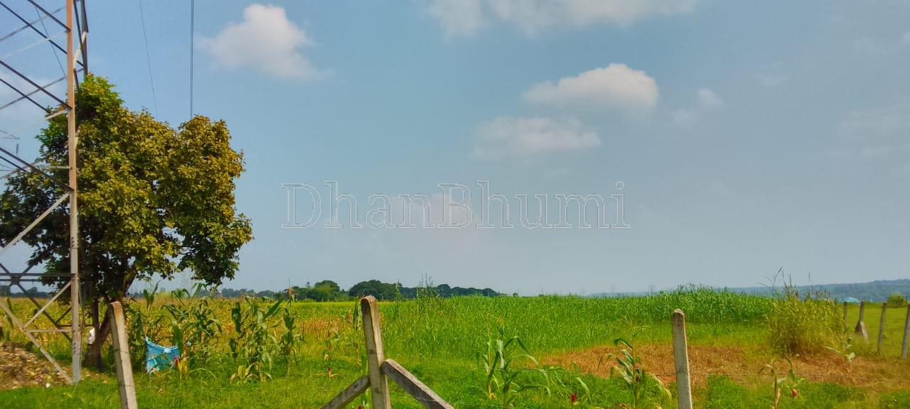 property_images/agricultural_in_dehradun_1789644007_6aabcce7a0892.jpeg