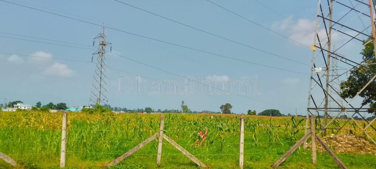 property_images/agricultural_in_dehradun_1789644007_6aabcce7abc6b.jpeg