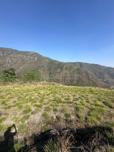 property_images/agricultural_in_dehradun_1793097059_6ae07d631db55.PNG
