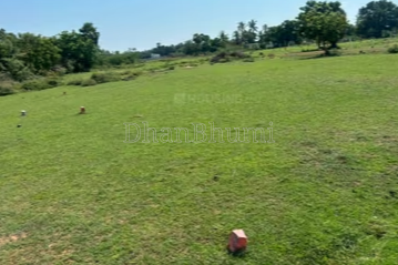 property_images/agricultural_in_delhi_1791630721_6aca1d81e2c61.png