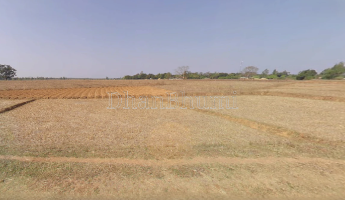 property_images/agricultural_in_deogarh_1785480460_6a6c450c56bec.png