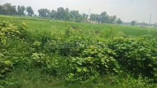 property_images/agricultural_in_deoria_1790230242_6ab4bee288802.png