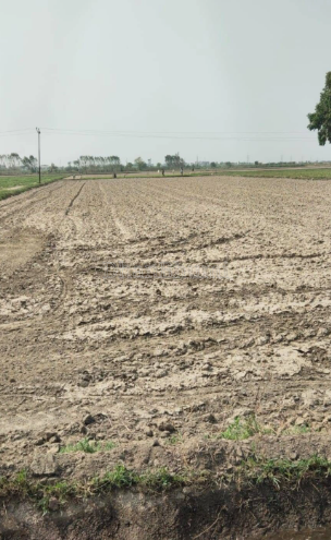 property_images/agricultural_in_devbhumi_dwarka_1789380034_6aa7c5c248e80.PNG