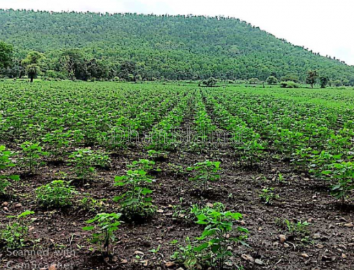 property_images/agricultural_in_dewas_1781505686_6a2f9e967c91d.PNG