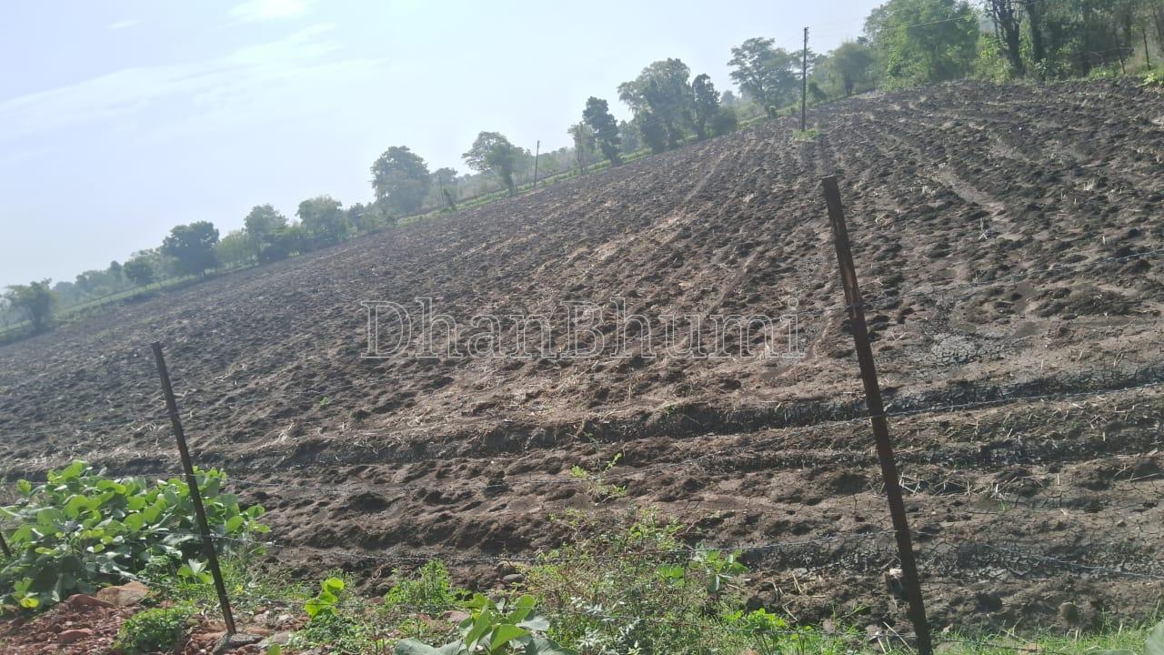 property_images/agricultural_in_dewas_1784787706_6a61b2fa721fa.jpeg