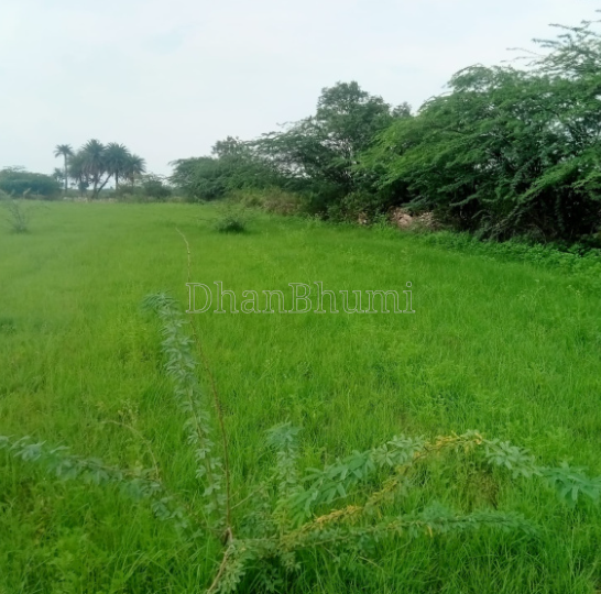 property_images/agricultural_in_dewas_1786346801_6a797d312cc4f.png