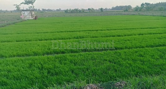 property_images/agricultural_in_dewas_1786427142_6a7ab706380d0.png