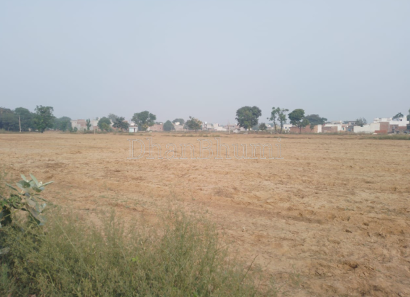 property_images/agricultural_in_dewas_1786515407_6a7c0fcf9cec5.png