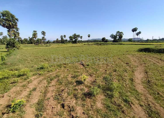 property_images/agricultural_in_dewas_1786516636_6a7c149c5467e.png