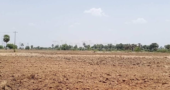 property_images/agricultural_in_dewas_1786517123_6a7c16833937a.png