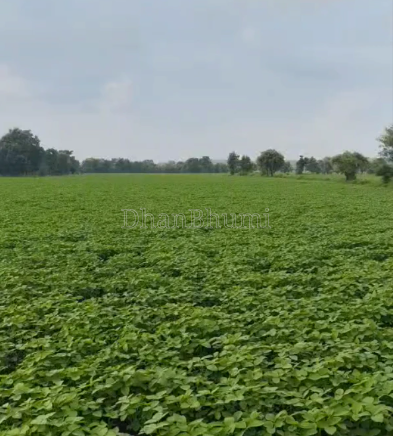 property_images/agricultural_in_dewas_1788332860_6a97cb3cb575c.png