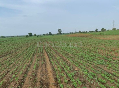 property_images/agricultural_in_dewas_1788339249_6a97e4319bcaf.png