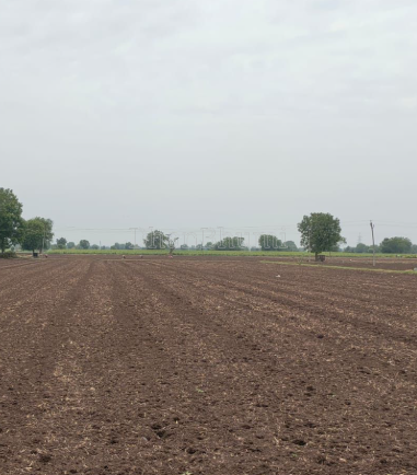 property_images/agricultural_in_dewas_1788339472_6a97e5102127c.png