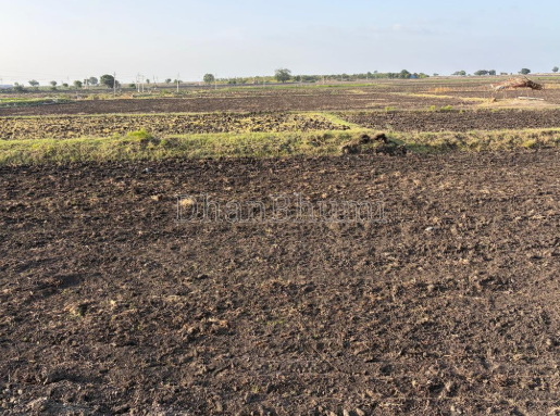 property_images/agricultural_in_dewas_1788340262_6a97e826f2083.png
