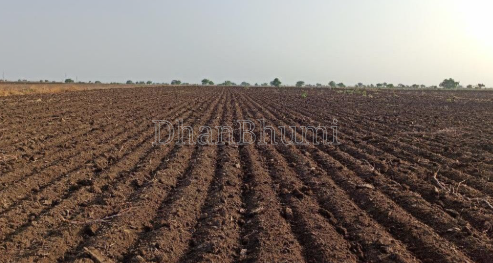 property_images/agricultural_in_dewas_1788340506_6a97e91a7dd7d.png