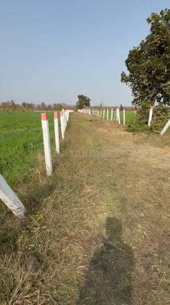 property_images/agricultural_in_dewas_1788348854_6a9809b657551.PNG