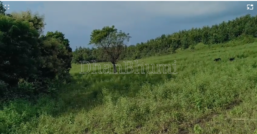 property_images/agricultural_in_dewas_1789705334_6aacbc76b3591.png