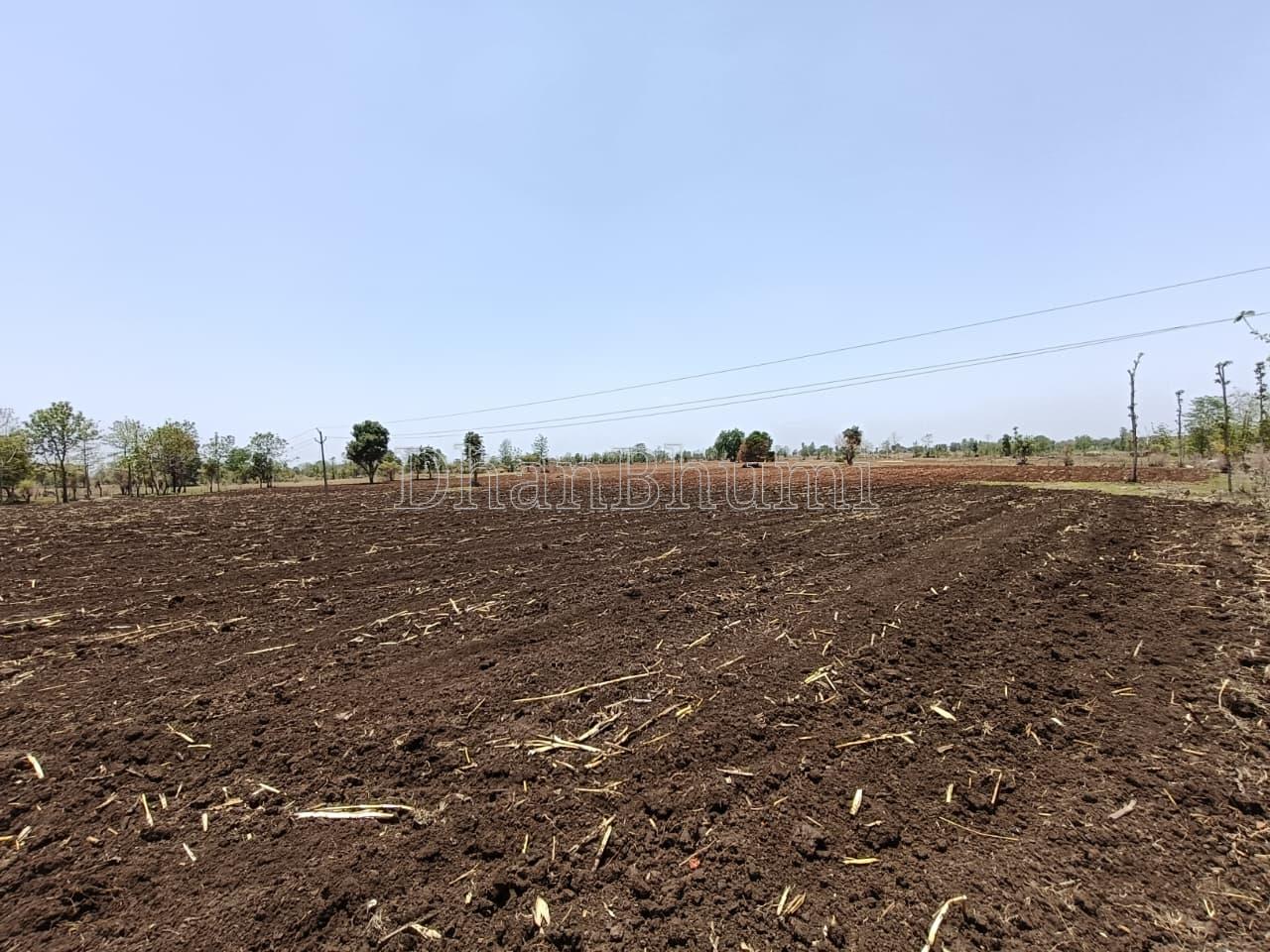 property_images/agricultural_in_dewas_1789800474_6aae301a351d4.jpeg