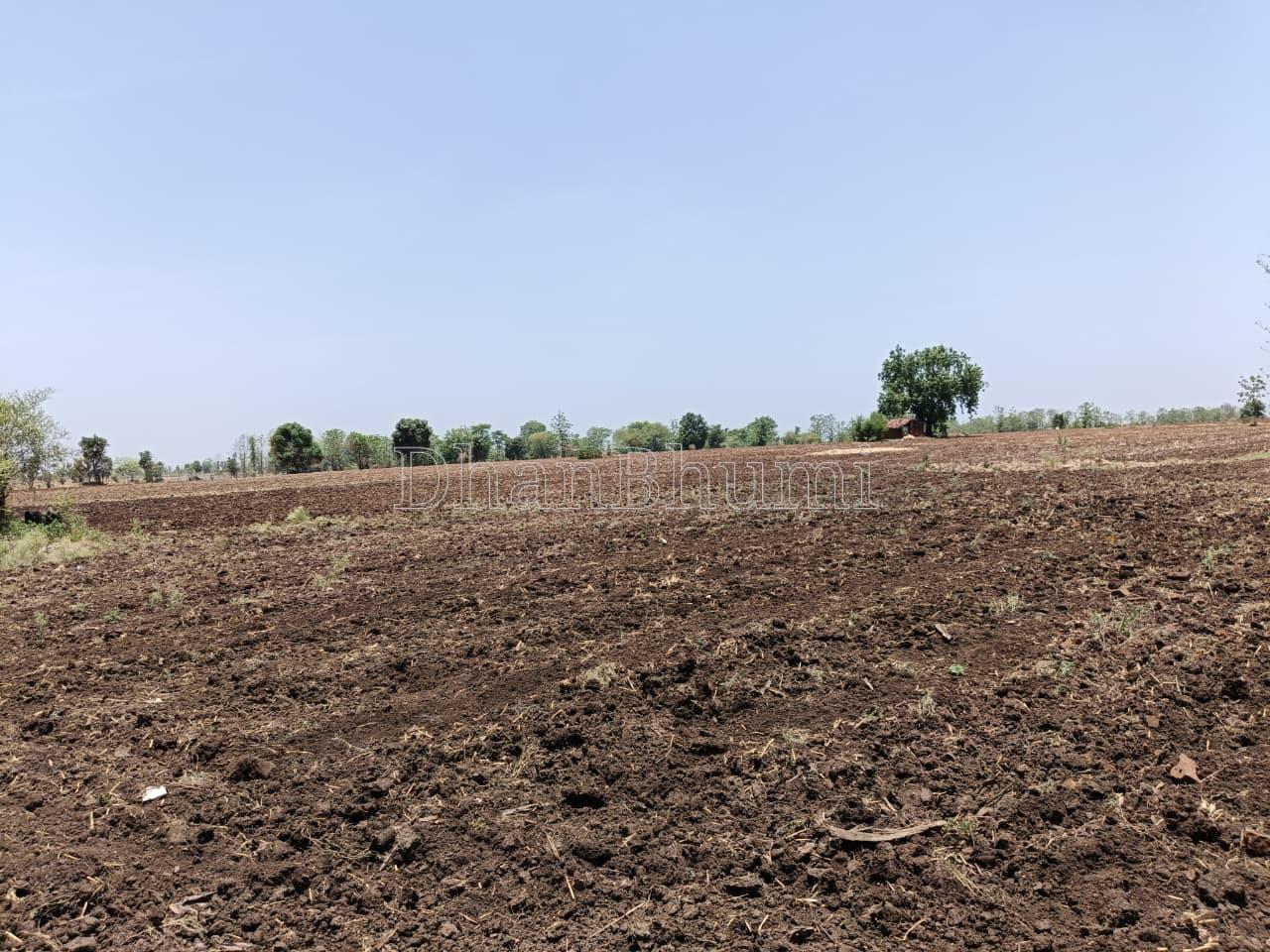 property_images/agricultural_in_dewas_1789800474_6aae301a70936.jpeg