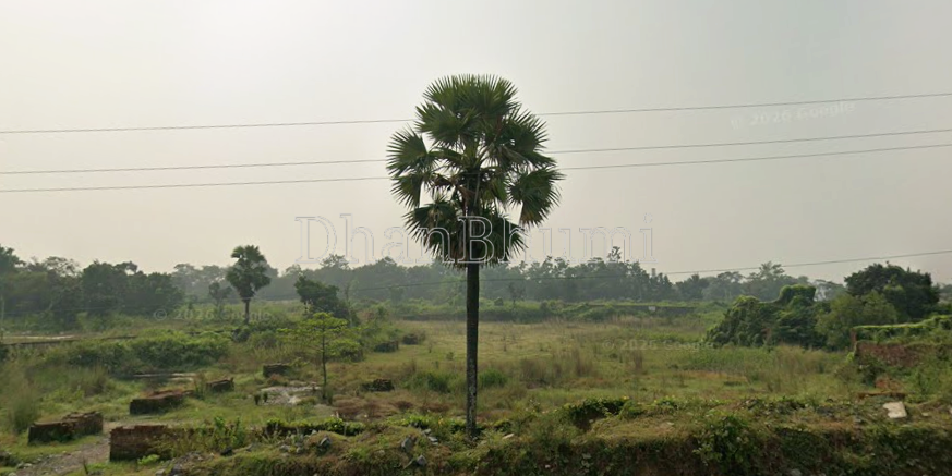 property_images/agricultural_in_dhanbad_1790145118_6ab3725e41d49.png