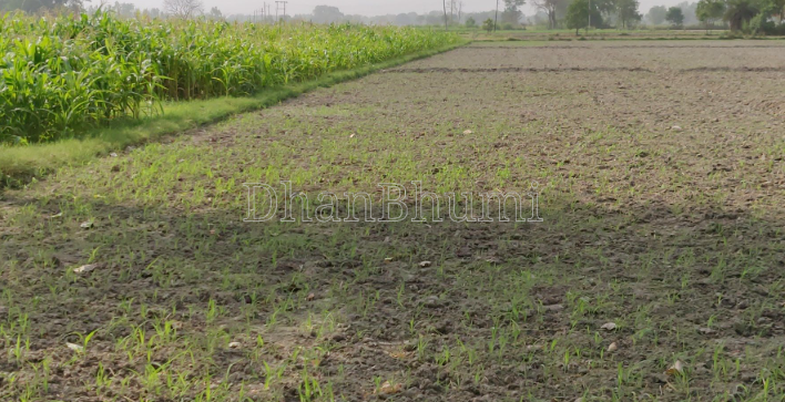 property_images/agricultural_in_dhar_1784956849_6a6447b151276.png
