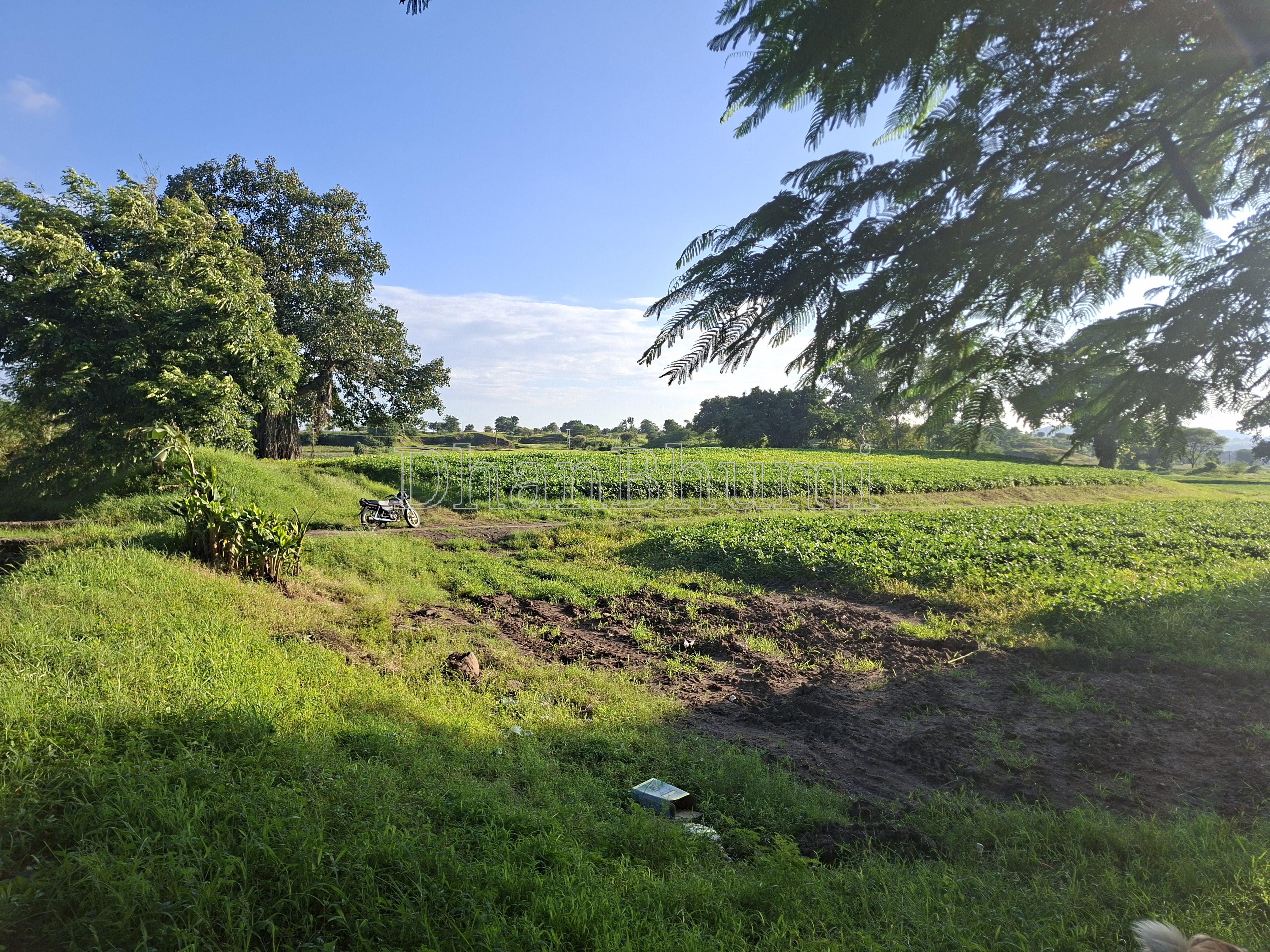 property_images/agricultural_in_dhar_1789559117_6aaa814d94b43.jpg