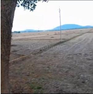 property_images/agricultural_in_dhenkanal_1782364685_6a3cba0d4b2b8.jpg