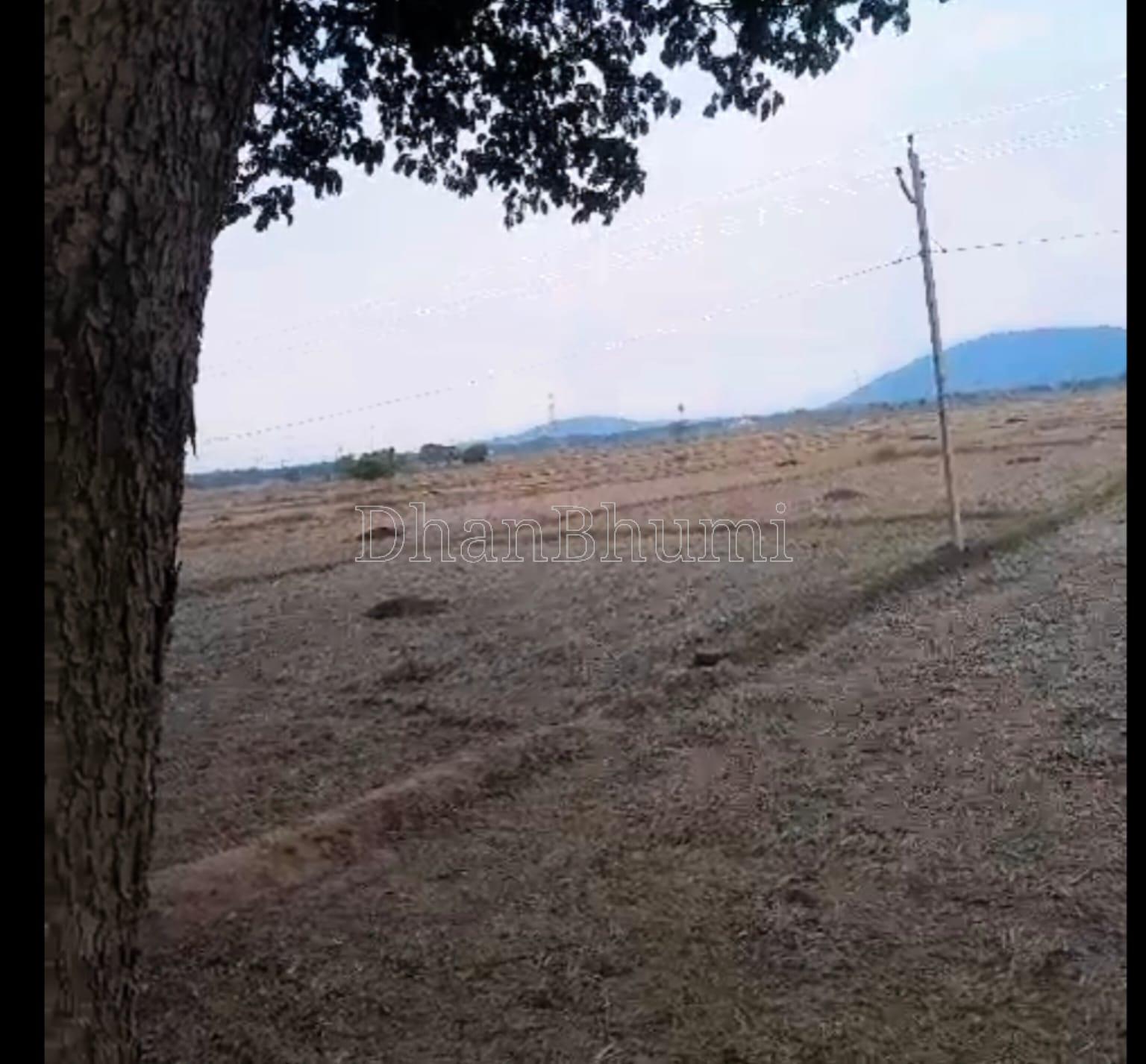 property_images/agricultural_in_dhenkanal_1782364685_6a3cba0d61206.jpeg