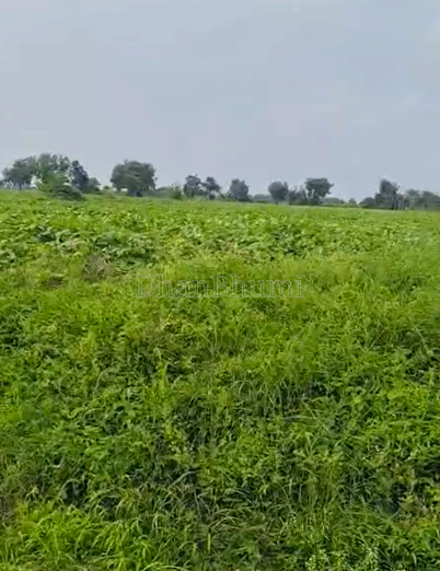 property_images/agricultural_in_dholera_1790759328_6abcd1a0489b2.png