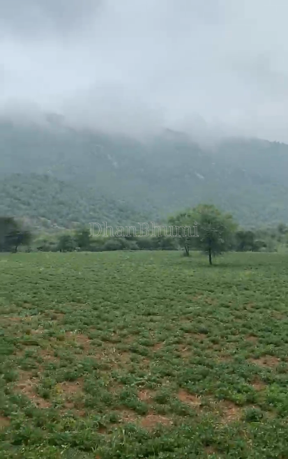 property_images/agricultural_in_didwana_kuchaman_1788516074_6a9a96ea7c754.png
