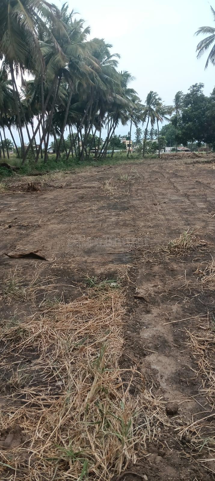 property_images/agricultural_in_dindigul_1783675509_6a50ba75895e5.jpeg