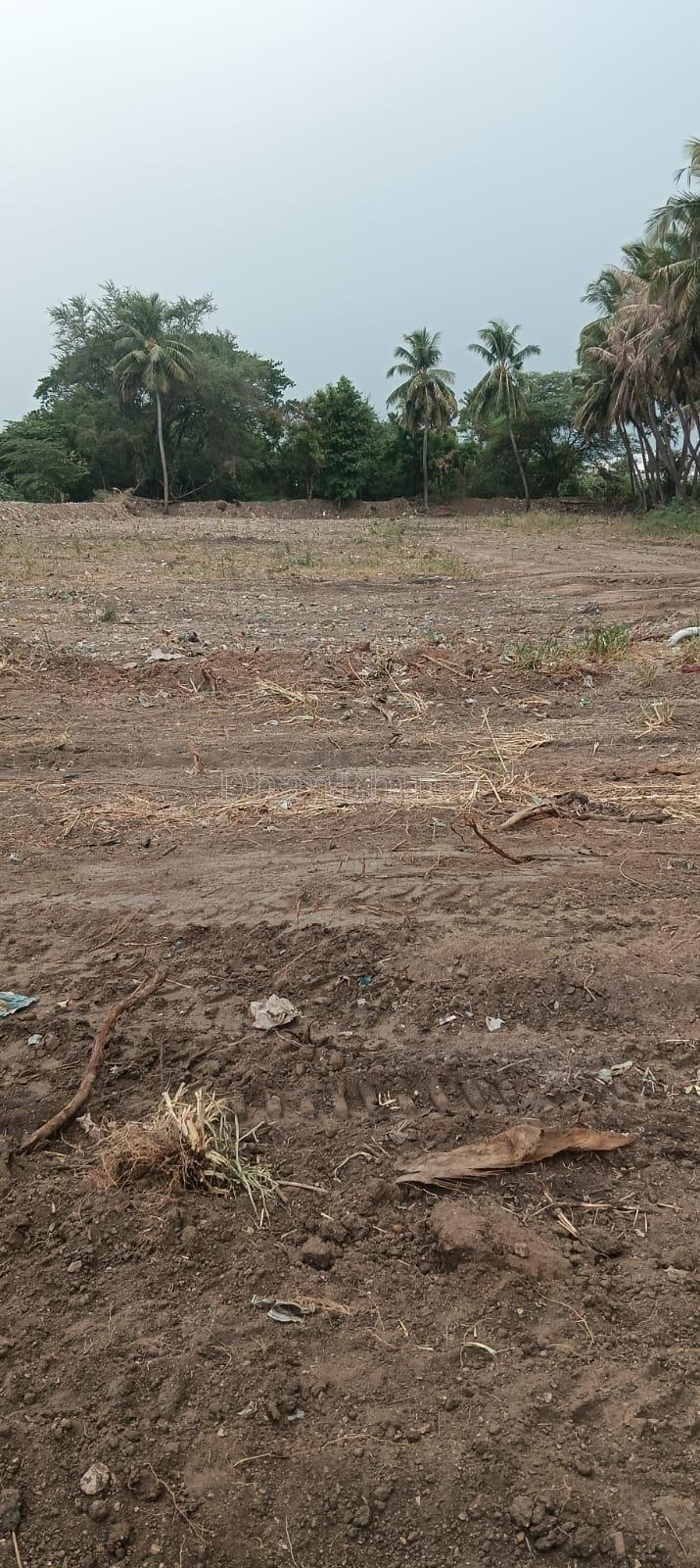 property_images/agricultural_in_dindigul_1783675509_6a50ba75b31e8.jpeg