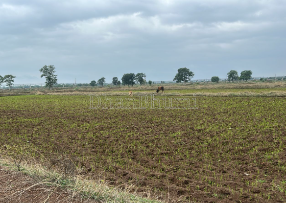 property_images/agricultural_in_dindori_1785743924_6a704a34dbab3.png
