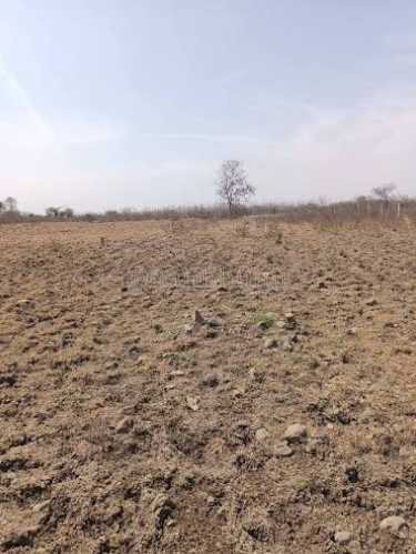 property_images/agricultural_in_durg_1786345808_6a79795032dd4.png