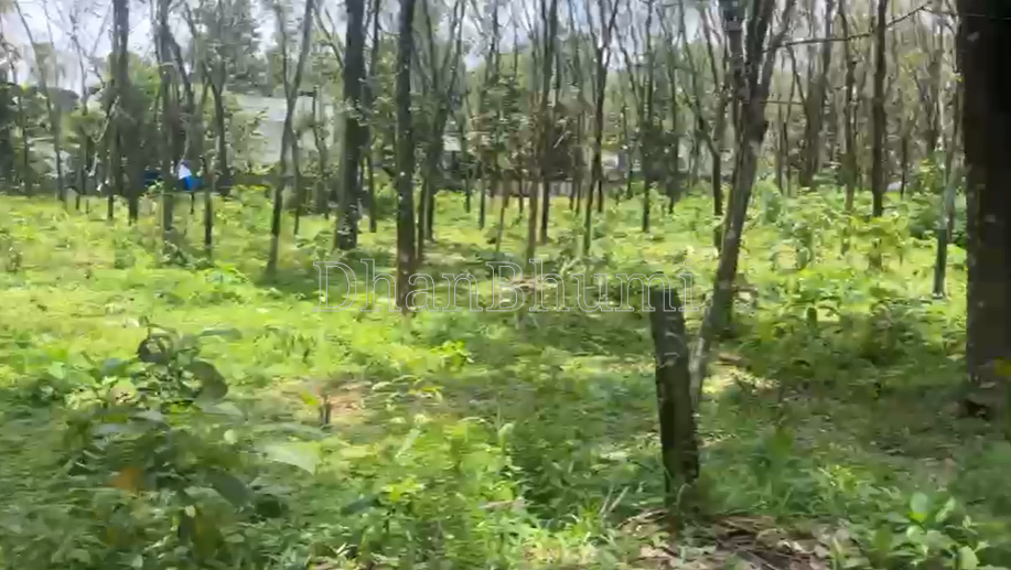 property_images/agricultural_in_ernakulam_1784096930_6a5728a2ce94d.png