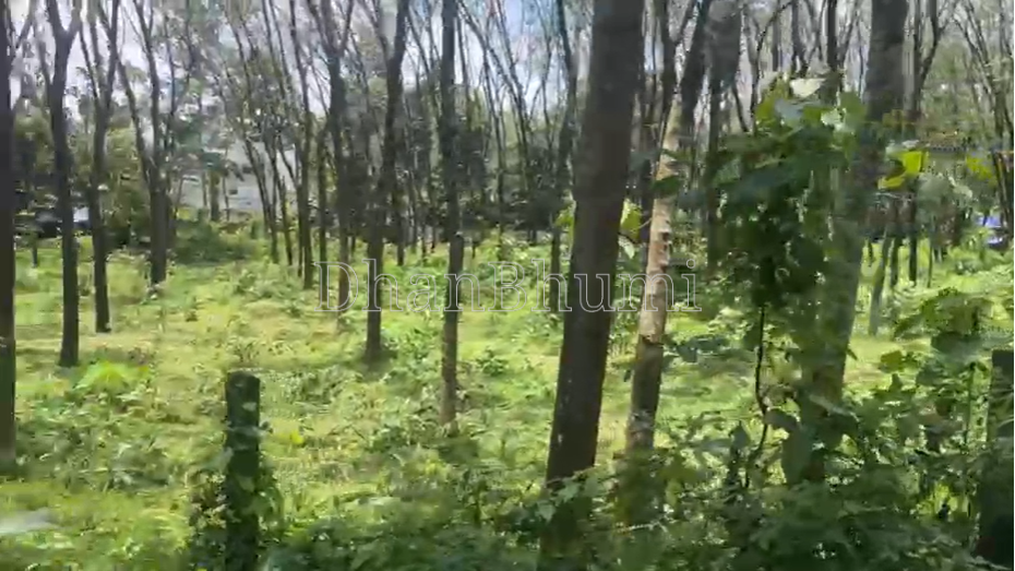 property_images/agricultural_in_ernakulam_1784096931_6a5728a3415db.png
