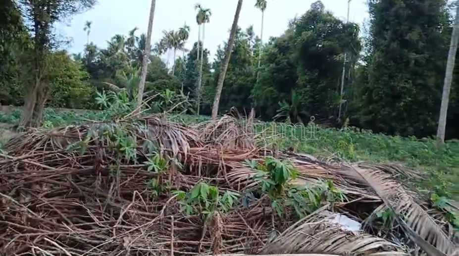 property_images/agricultural_in_ernakulam_1784106085_6a574c657c968.png