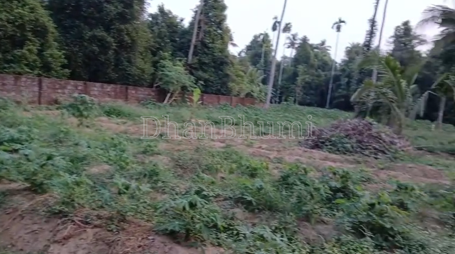 property_images/agricultural_in_ernakulam_1784106085_6a574c65d8e59.png