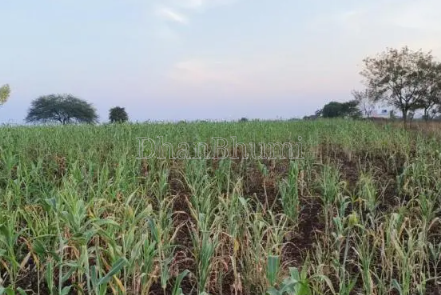 property_images/agricultural_in_etawah_1793103310_6ae095ce125b0.png