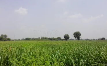featured_img