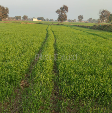 property_images/agricultural_in_faridabad_1781760327_6a33814713326.png
