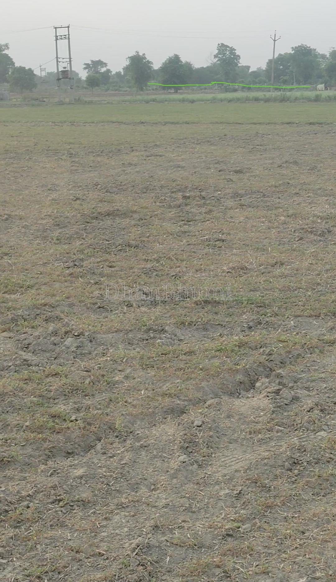 property_images/agricultural_in_faridabad_1787823032_6a9003b81991e.jpg