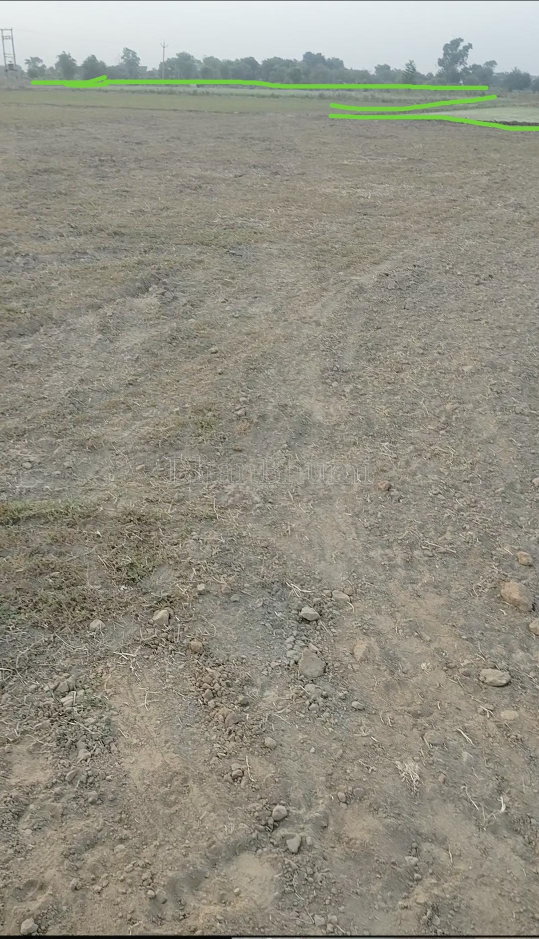 property_images/agricultural_in_faridabad_1787823032_6a9003b839c44.jpg